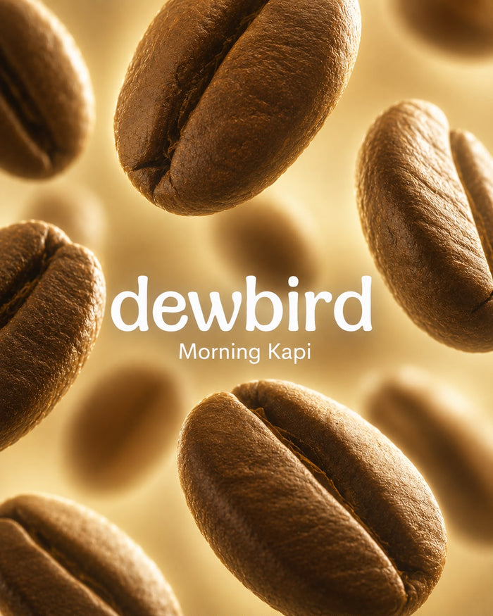 Morning Kapi